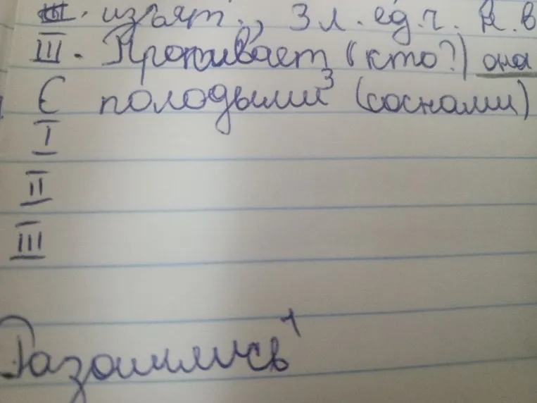 с молодыми соснами