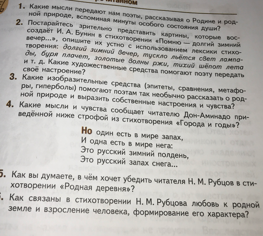 Какие мысли передают нам поэты, рассказывая о Родине и родной природе, вспоминая минуты особого состояния души?