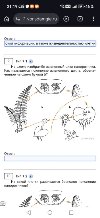 На схеме изображён жизненный цикл папоротника. Как называется поколение жизненного цикла, обозначенное на схеме буквой Б?