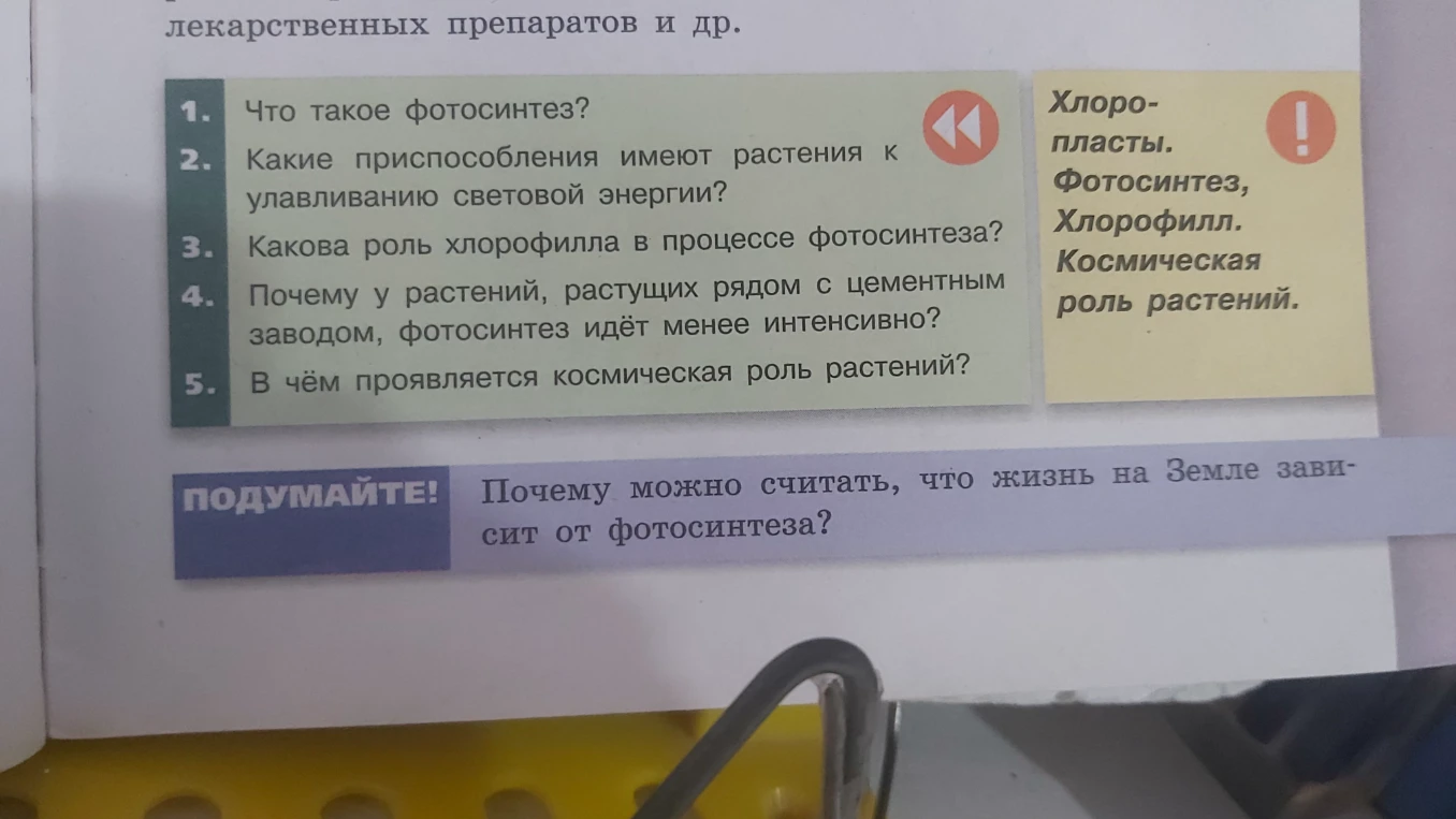 Что такое фотосинтез?
