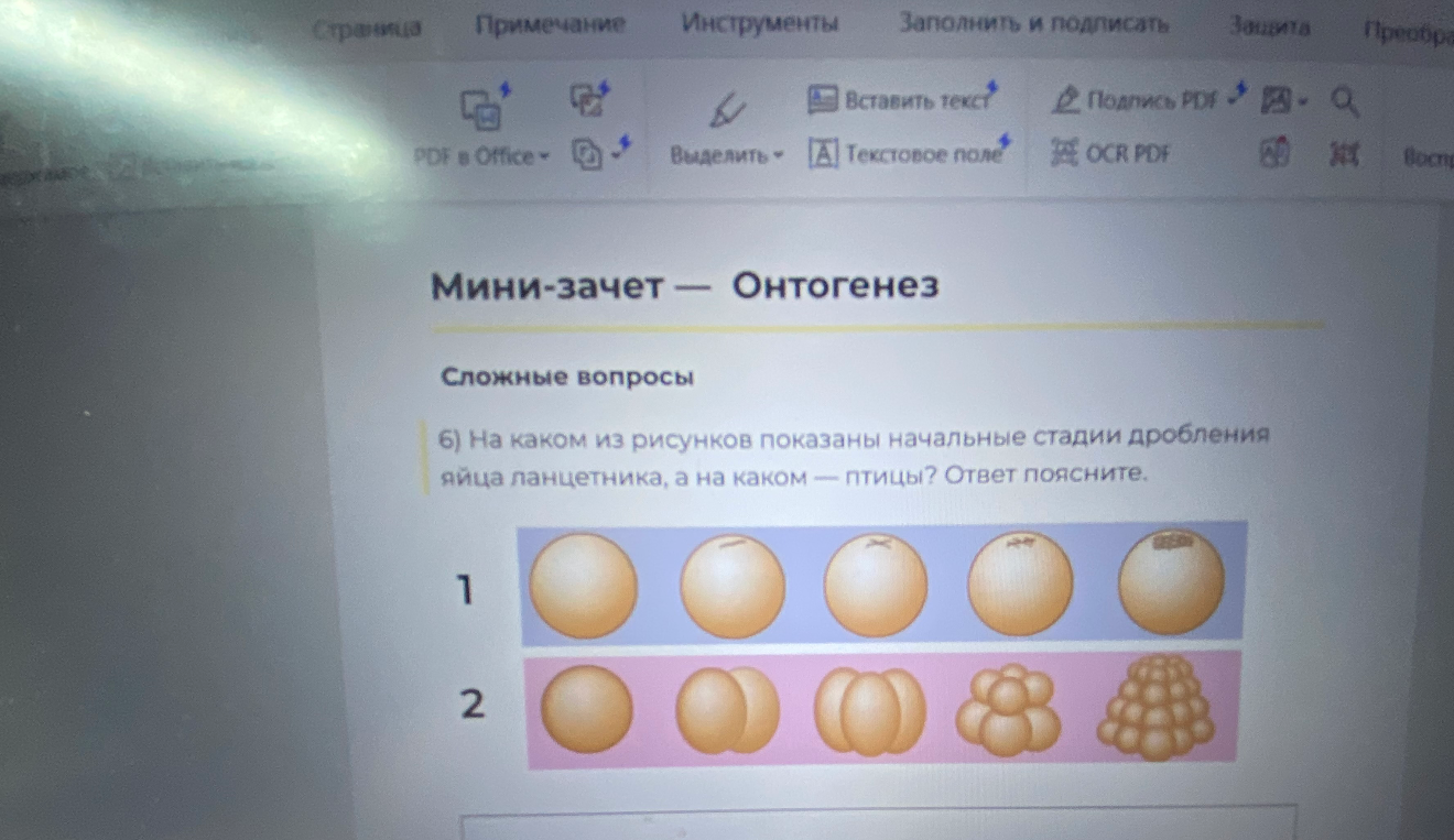 6) На каком из рисунков показаны начальные стадии дробления яйца ланцетника, а на каком — птицы? Ответ поясните.