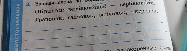 Запиши слова по образцу. Образец: верблюжонок — верблюжата. Грачонок, галчонок, зайчонок, тигрёнок.