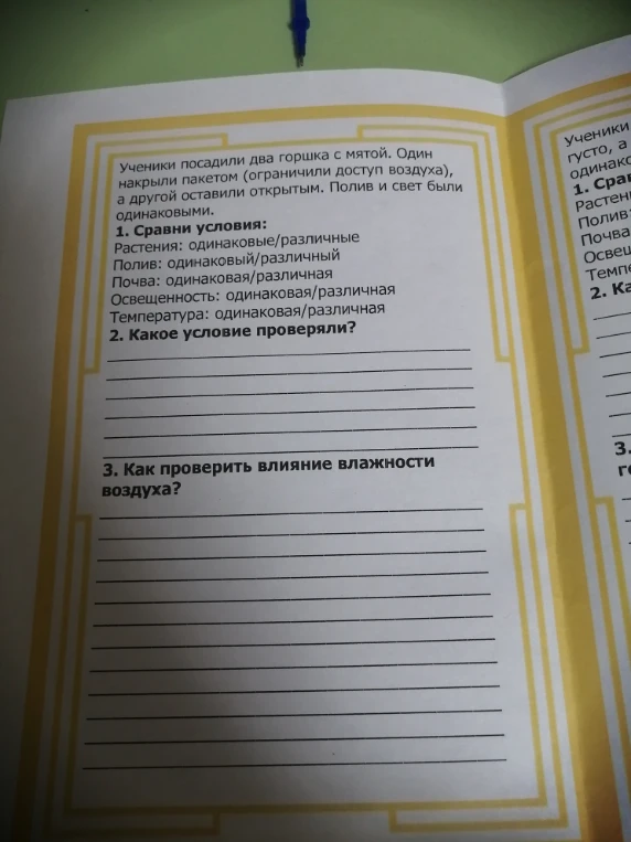 Ученики посадили два горшка с мятой. Один накрыли пакетом (ограничили доступ воздуха), а другой оставили открытым.