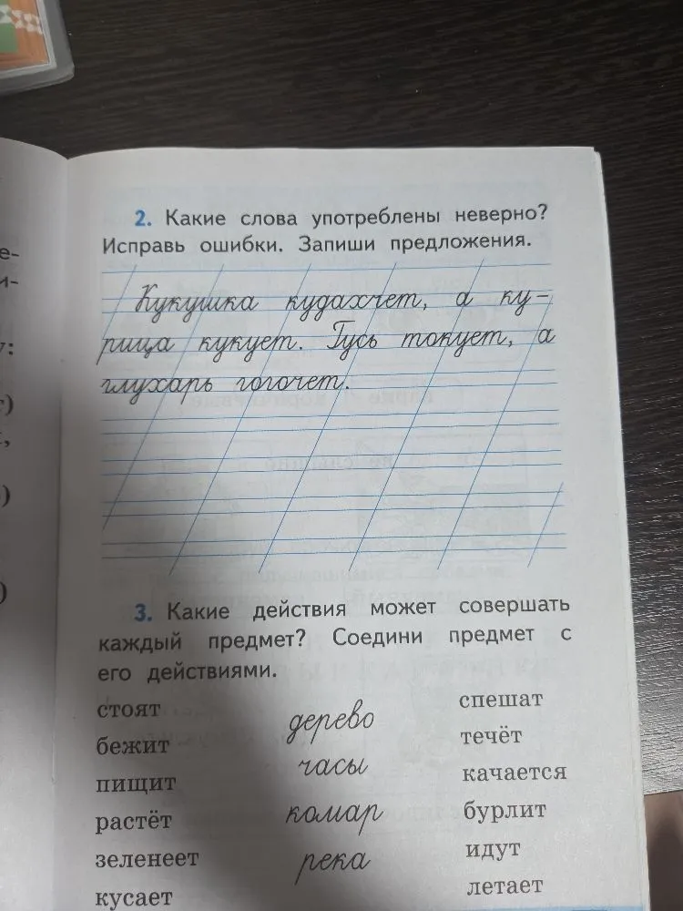 Какие слова употреблены неверно? Исправь ошибки. Запиши предложения.
