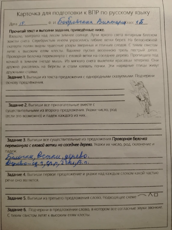 Карточка для подготовки к ВПР по русскому языку