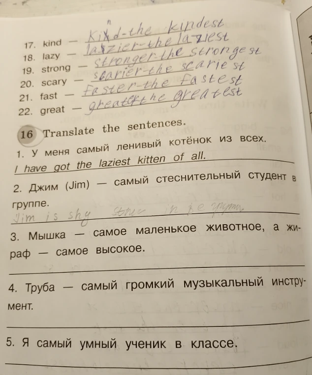 Translate the sentences.