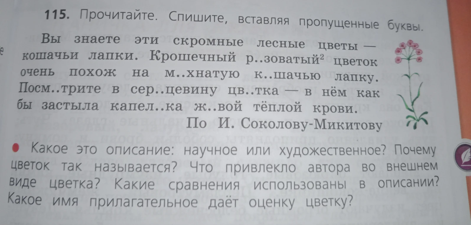 115. Прочитайте. Спишите, вставляя пропущенные буквы.