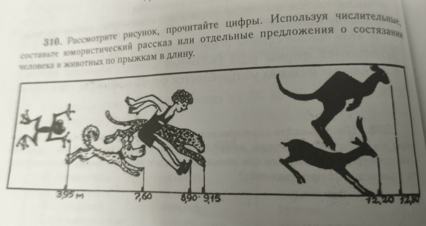 310. Рассмотрите рисунок, прочитайте цифры. Используя числительные, составьте юмористический рассказ или отдельные предложения о состязании человека и животных по прыжкам в длину.