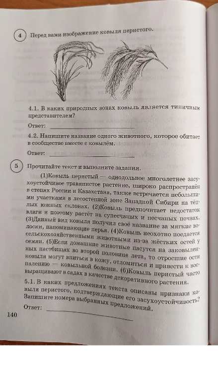 4.1. В каких природных зонах ковыль является типичным представителем?