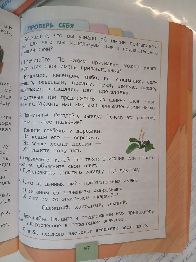 1. Расскажите, что вы узнали об имени прилагательном. Для чего мы используем имена прилагательные в нашей речи?