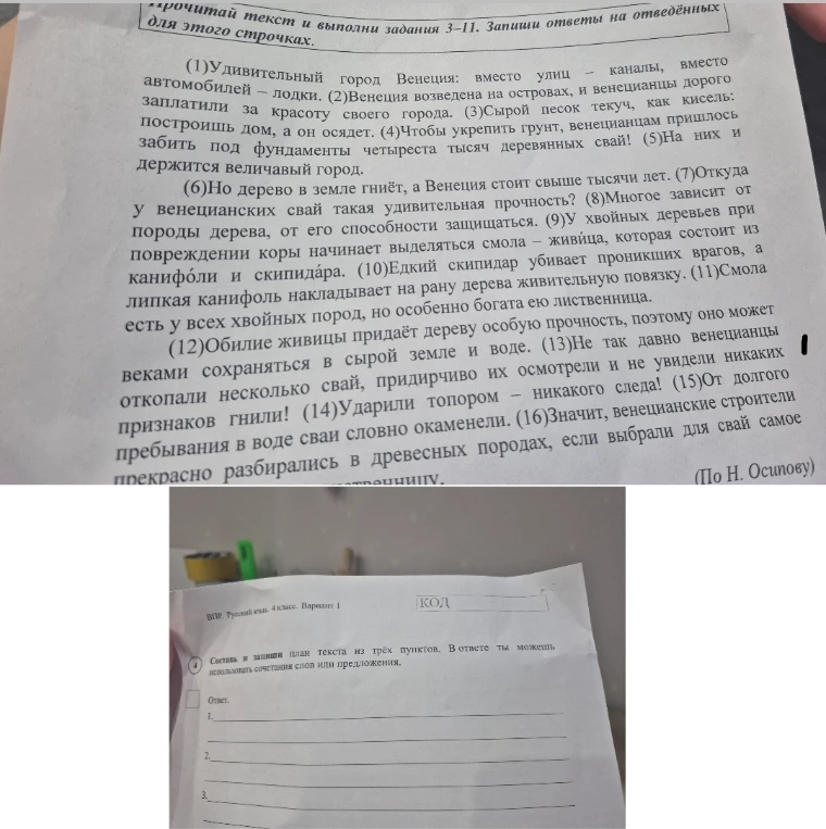 Составь и запиши план текста из трёх пунктов.
