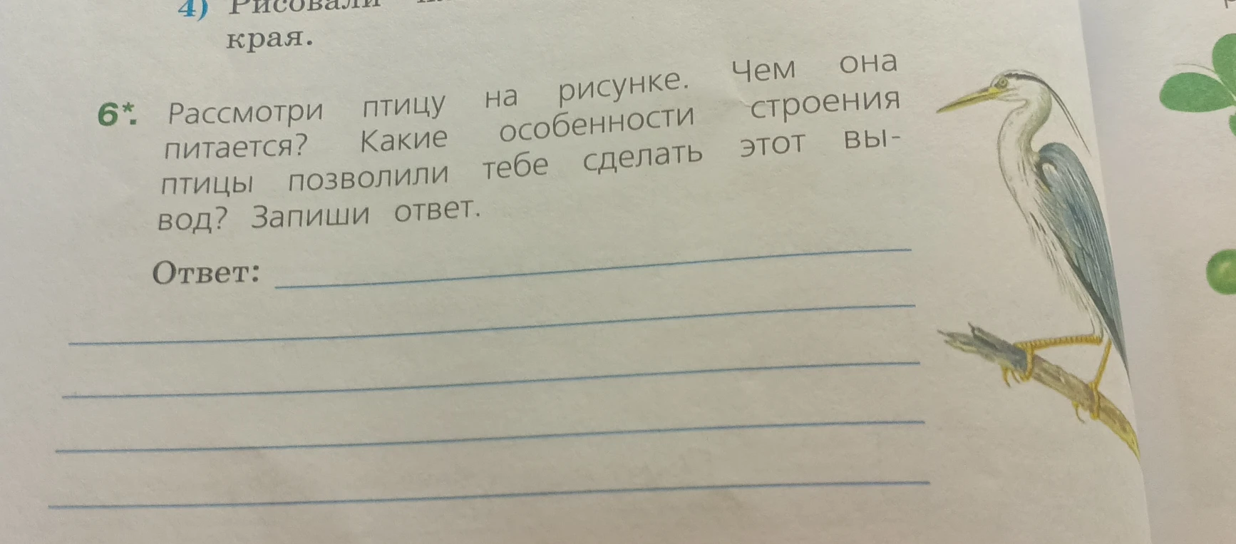 6*. Рассмотри птицу на рисунке. Чем она питается? Какие особенности строения птицы позволили тебе сделать этот вывод? Запиши ответ.
