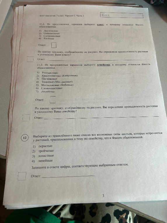 11.2. Из предложенных терминов выберите класс, к которому относится Фасоль обыкновенная.