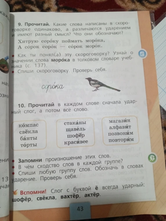 9. Прочитай. Какие слова написаны в скороговорке одинаково, а различаются ударением и имеют разный смысл? Что они обозначают?