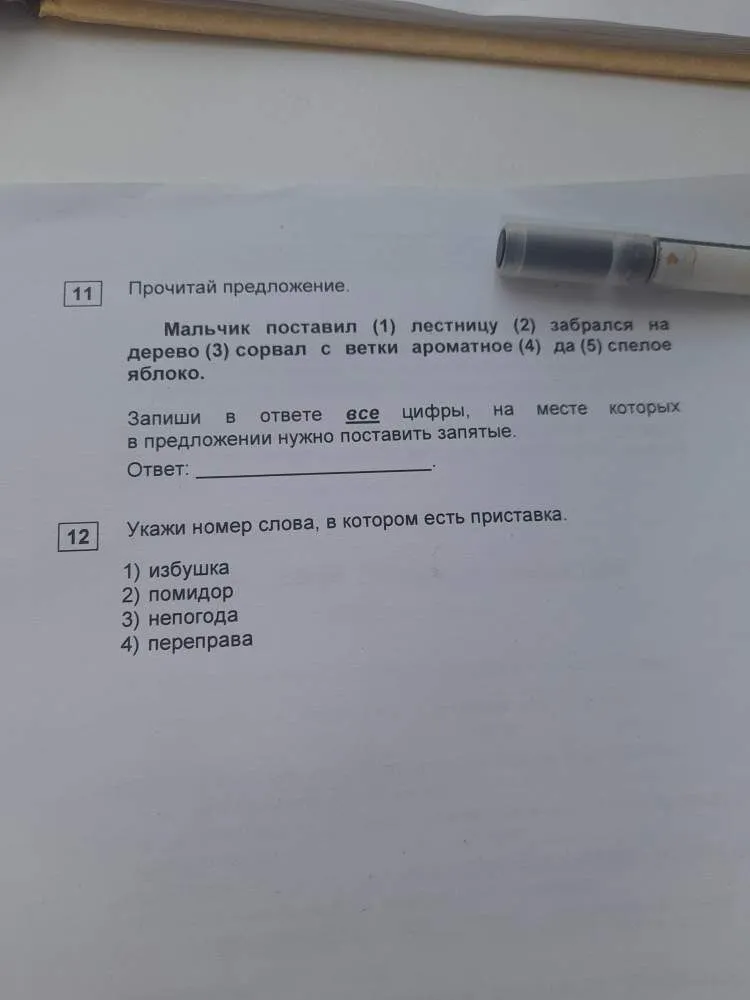 Прочитай предложение. Мальчик поставил (1) лестницу (2) забрался на дерево (3) сорвал с ветки ароматное (4) да (5) спелое яблоко.