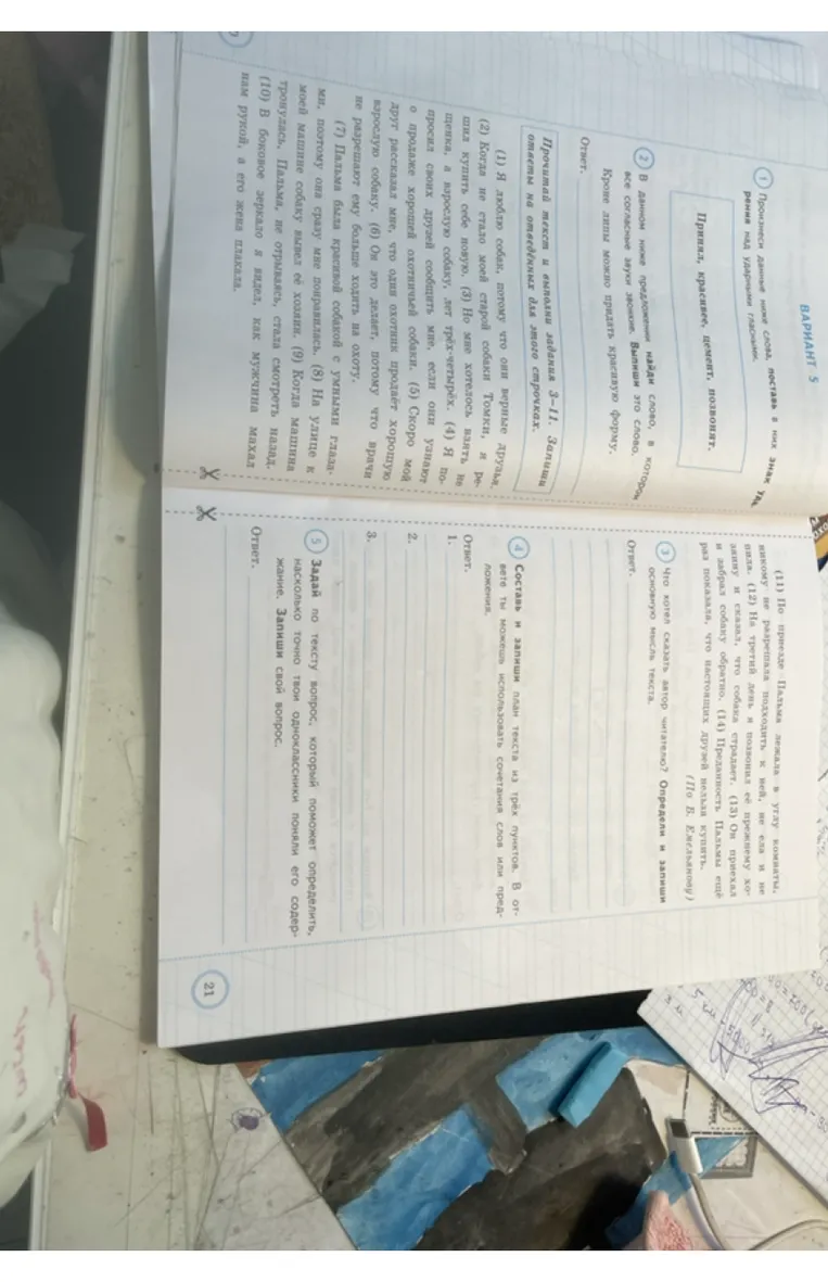Прочитай текст и выполни задания 3-11. Запиши ответы на отведённых для этого строчках.
