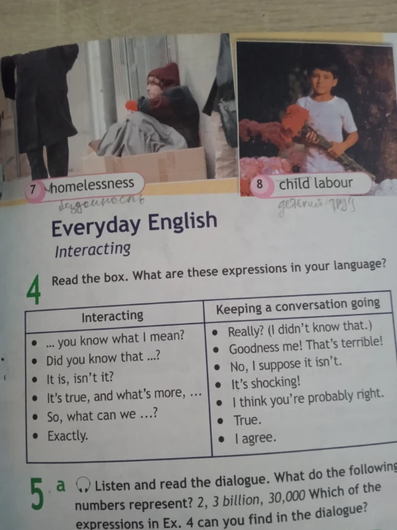 Read the box. What are these expressions in your language?