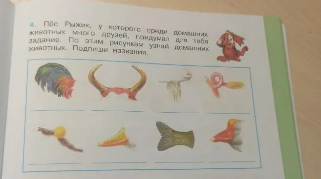 Пёс Рыжик, у которого среди домашних животных много друзей, придумал для тебя задание. По этим рисункам узнай домашних животных. Подпиши названия.