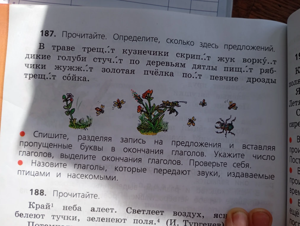 187. Прочитайте. Определите, сколько здесь предложений.