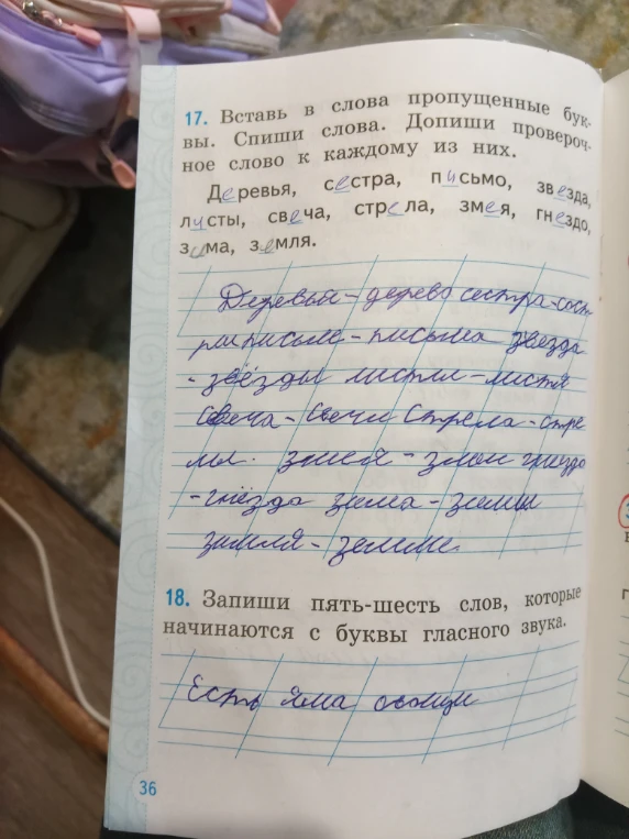 17. Вставь в слова пропущенные буквы. Спиши слова. Допиши проверочное слово к каждому из них.