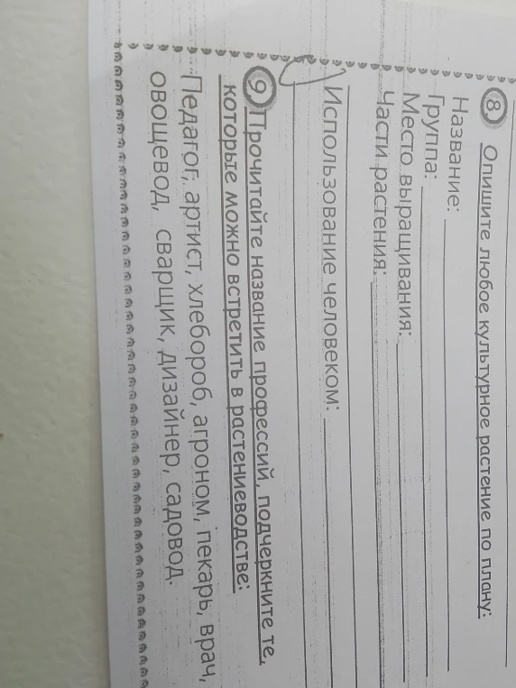 Опишите любое культурное растение по плану: Название: Группа: Место выращивания: Части растения: Использование человеком: