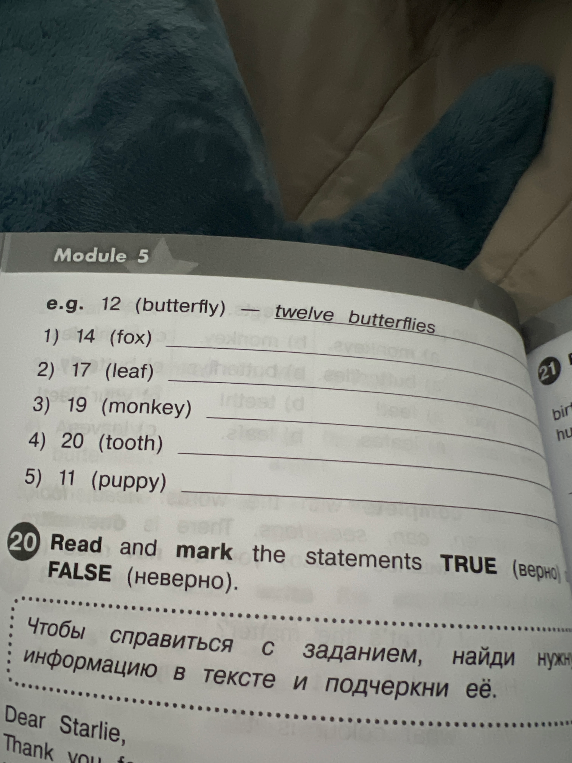 14 (fox) 17 (leaf) 19 (monkey) 20 (tooth) 11 (puppy)