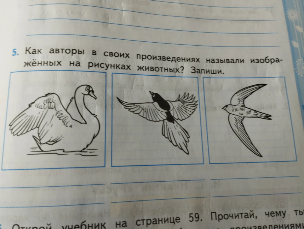 Как авторы в своих произведениях называли изображённых на рисунках животных? Запиши.