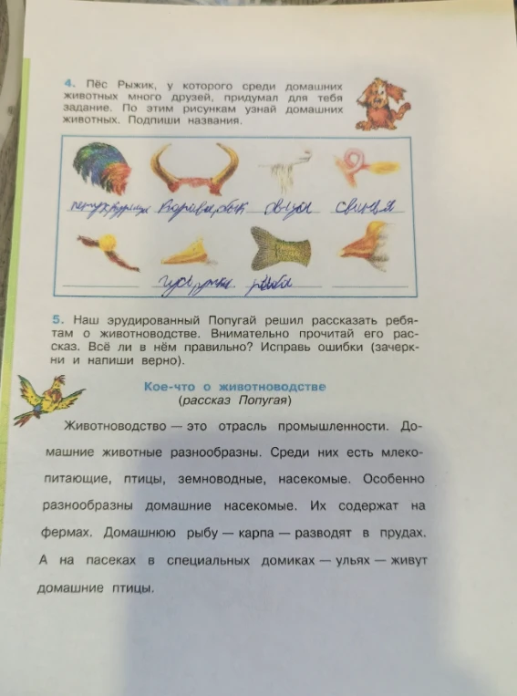 4. Пёс Рыжик, у которого среди домашних животных много друзей, придумал для тебя задание. По этим рисункам узнай домашних животных. Подпиши названия.