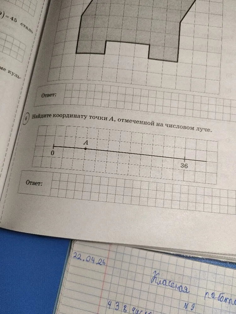 Найдите координату точки А, отмеченной на числовом луче.