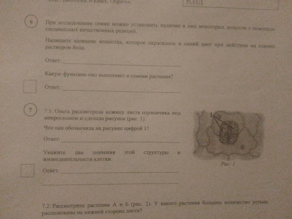 При исследовании семян можно установить наличие в них некоторых веществ с помощью специальных качественных реакций.