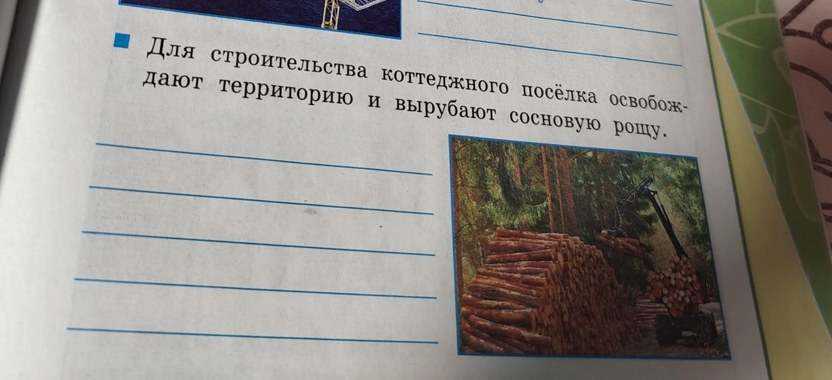 Для строительства коттеджного посёлка освобождают территорию и вырубают сосновую рощу.