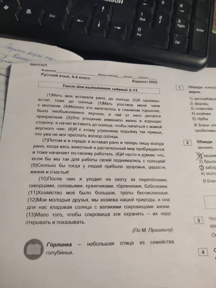 Выпиши из 6-го предложения все имена существительные в той форме, в которой они употреблены в предложении.