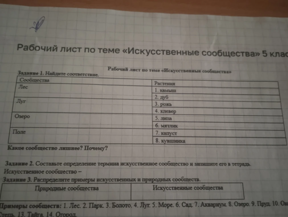 Задание 1. Найдите соответствие.