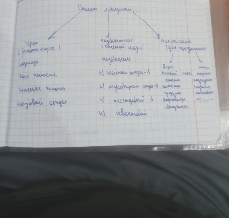 Составь такую же таблицу только про скелет птиц