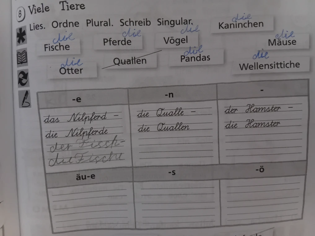 Viele Tiere. Lies. Ordne Plural. Schreib Singular.