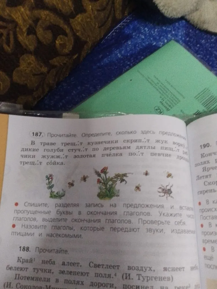 Спишите, разделяя запись на предложения и вставляя пропущенные буквы в окончания глаголов. Укажите число, спряжение глаголов, выделите окончания глаголов.