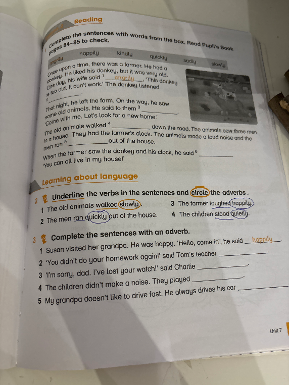Complete the sentences with words from the box. Read Pupil's Book pages 84–85 to check.