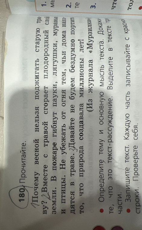 Почему весной нельзя поджигать траву? Вместе с травой сгорает плодородный слой земли.