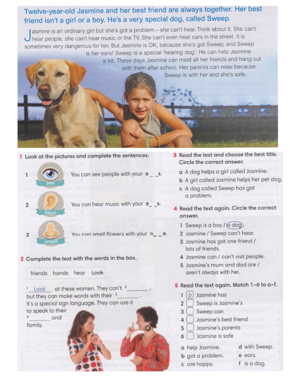 Look at the pictures and complete the sentences.