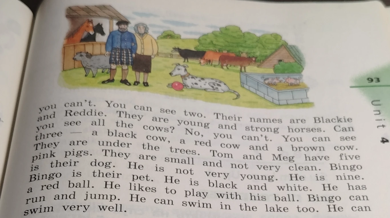 you can't. You can see two. Their names are Blackie and Reddie. They are young and strong horses.