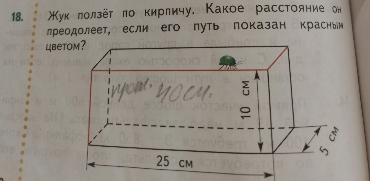 18. Жук ползёт по кирпичу. Какое расстояние он преодолеет, если его путь показан красным цветом?