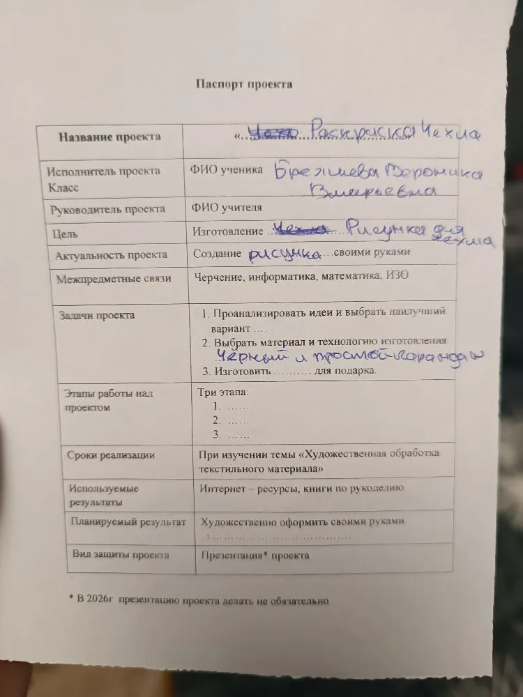 Паспорт проекта