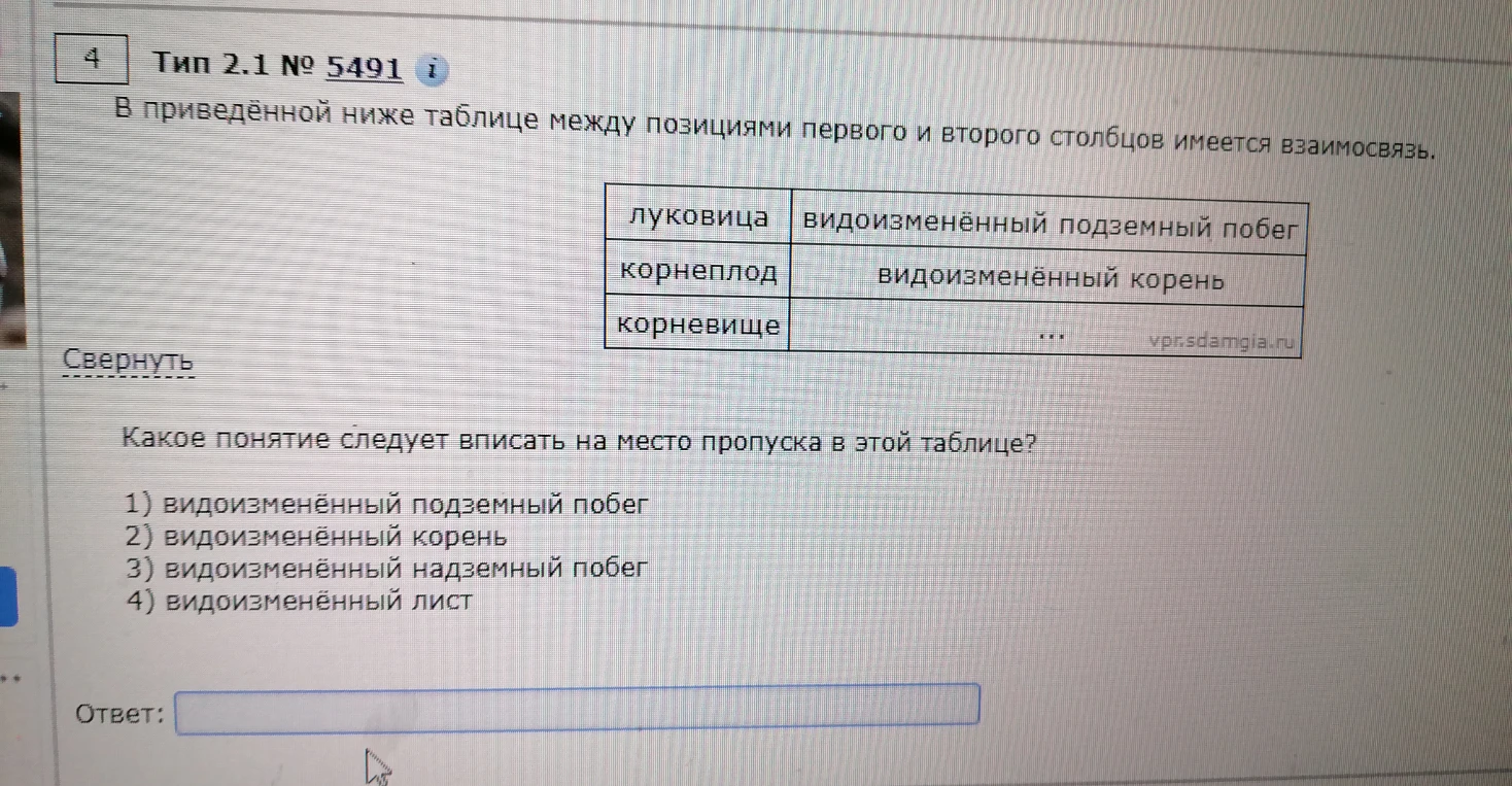 В приведённой ниже таблице между позициями первого и второго столбцов имеется взаимосвязь.
