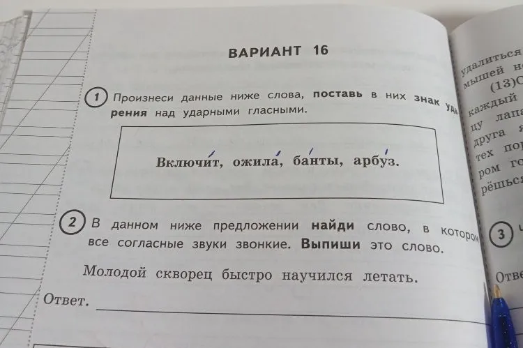 Произнеси данные ниже слова, поставь в них знак ударения над ударными гласными.