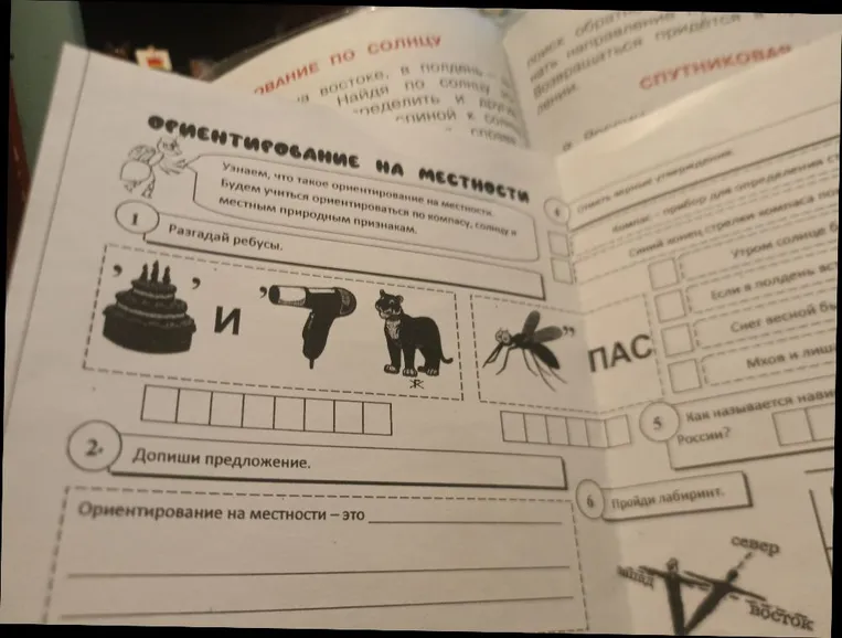 Разгадай ребусы.