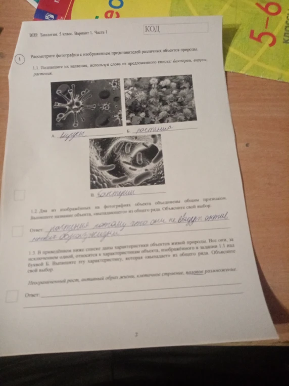 1.3. В приведённом ниже списке даны характеристики объектов живой природы. Все они, за исключением одной, относятся к характеристикам объекта, изображённого в задании 1.1 над буквой Б. Выпишите эту характеристику, которая «выпадает» из общего ряда. Объясните свой выбор.