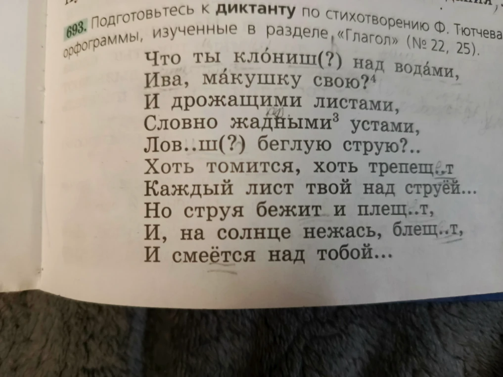Подготовьтесь к диктанту по стихотворению Ф. Тютчева. Объясните орфограммы, изученные в разделе «Глагол» (№ 22, 25).