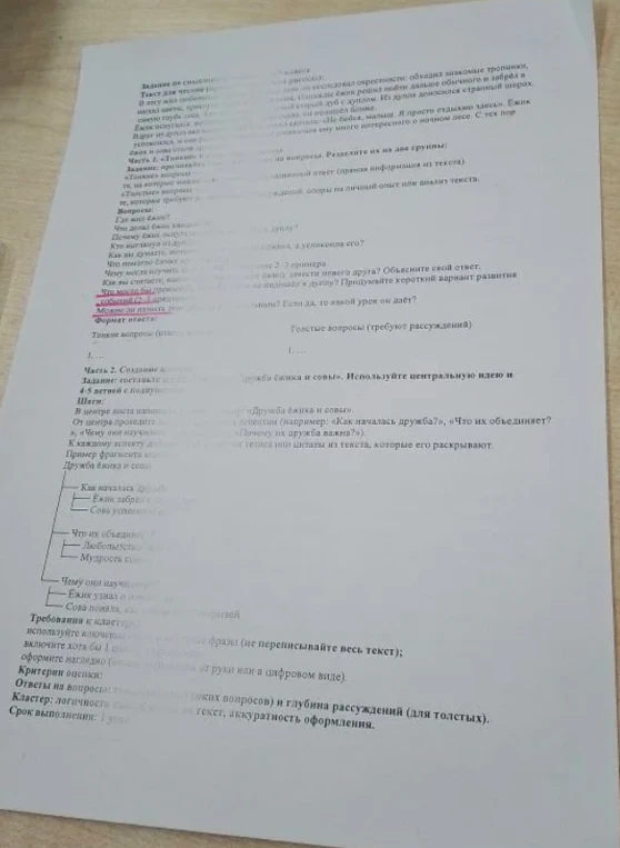 Задание по смысловому чтению текста: "Текст для чтения (описание сюжета про ёжика и сову). Часть 1. «Тонкие» и «Толстые» вопросы. Часть 2. Создание кластера «Дружба ёжика и совы»".