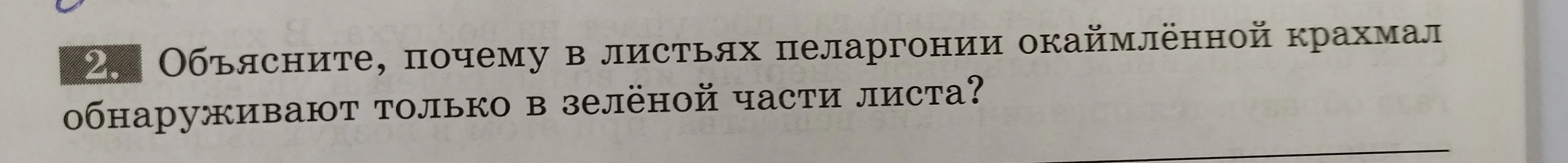 Объясните, почему в листьях пеларгонии окаймлённой крахмал обнаруживают только в зелёной части листа?