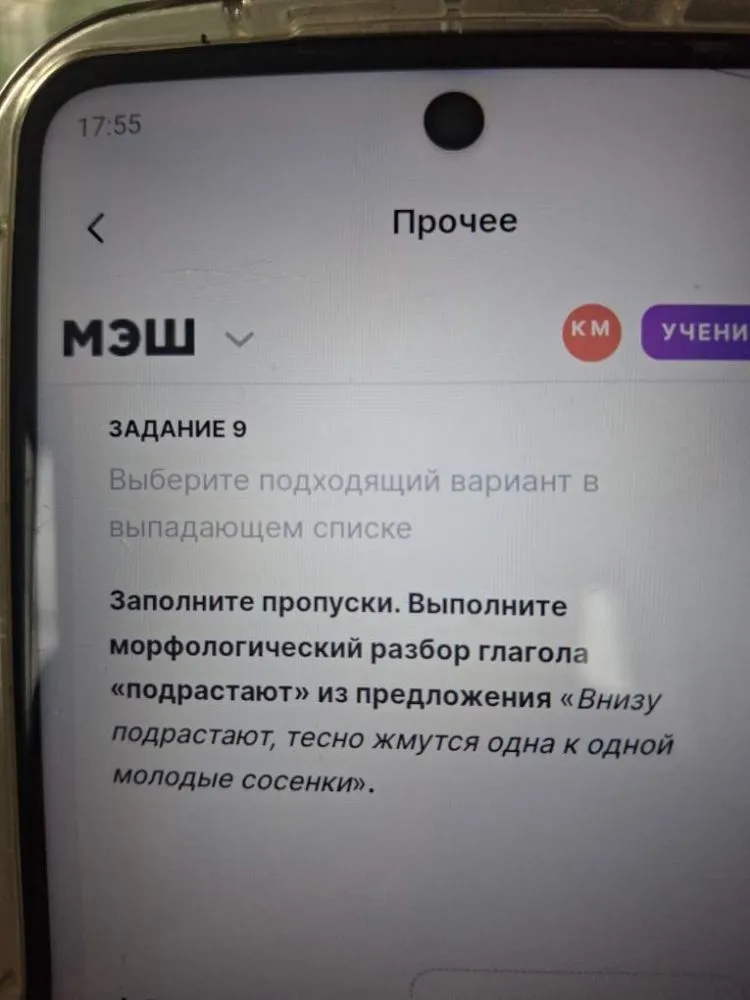 Заполните пропуски. Выполните морфологический разбор глагола «подрастают» из предложения «Внизу подрастают, тесно жмутся одна к одной молодые сосенки».